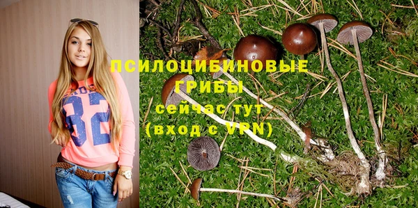 спайс Бородино