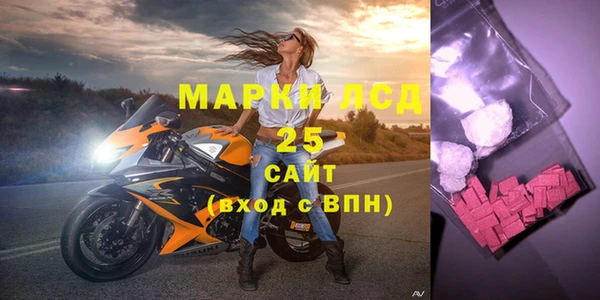 спайс Бородино
