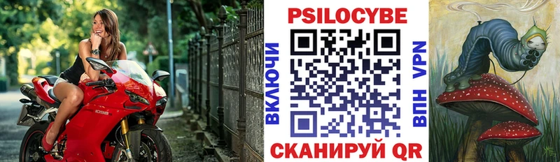 Галлюциногенные грибы Cubensis  нарко площадка формула  Конаково  купить  сайты 
